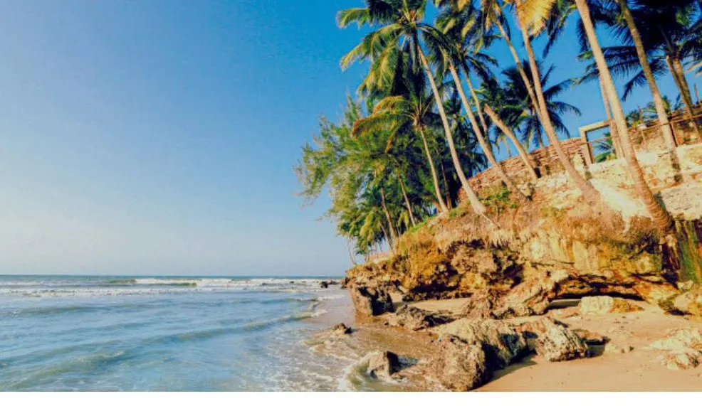 Praia da Taíba com coqueiros e falésias